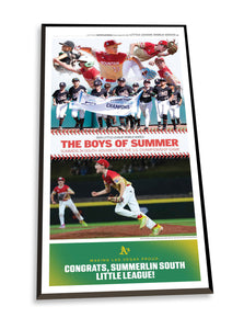 Summerlin South LLWS Poster