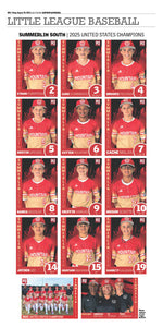 Summerlin South Baseball Cards
